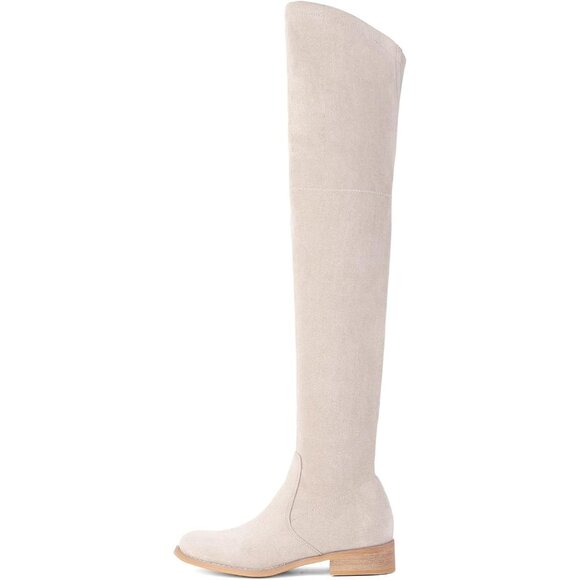 Women Beige Faux Suede Over The Knee Thigh High Low Block Heel Pointed Toe Boot - Picture 2 of 6